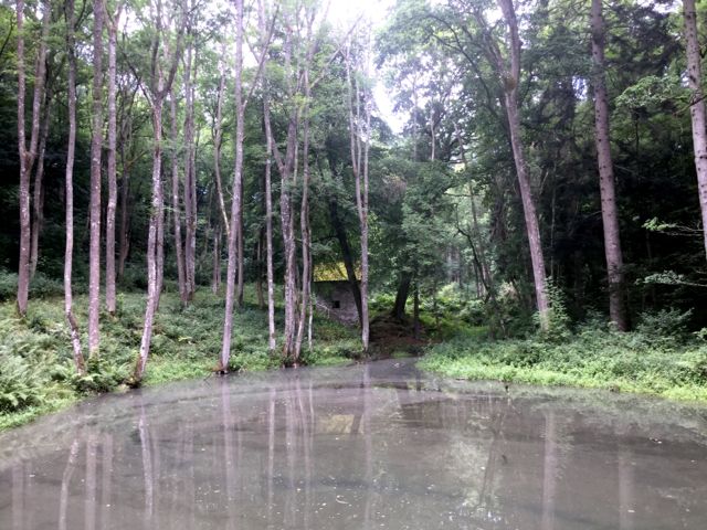 Fishpool valley