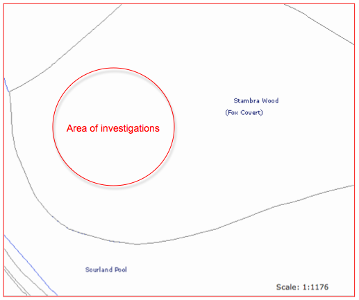 Amphitheatre Interin report