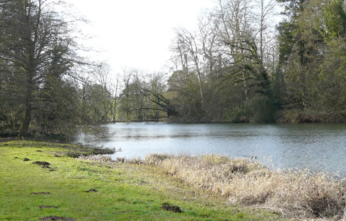 pond