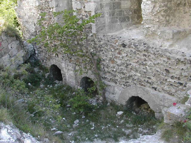 Chateau Gaillard