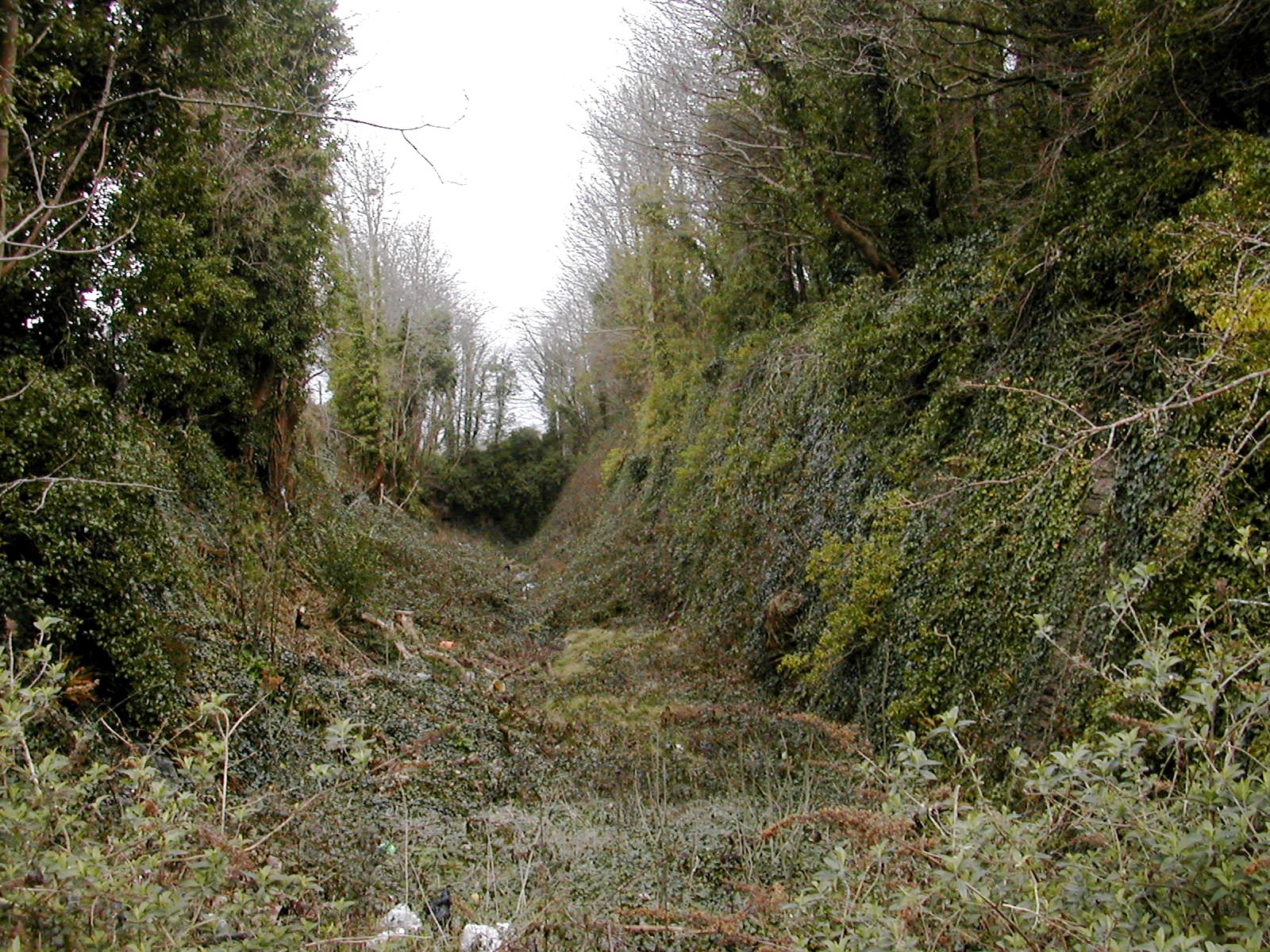 Plymouth Fortifications