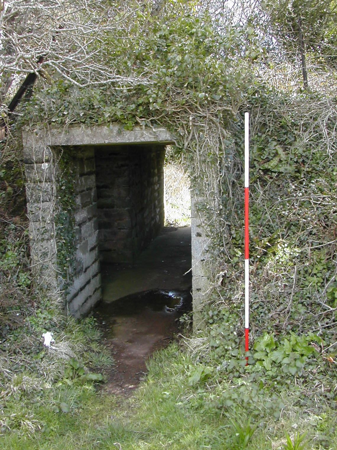 Plymouth Fortification