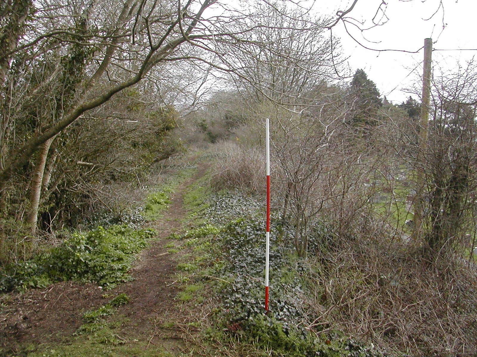 Plymouth Fortification