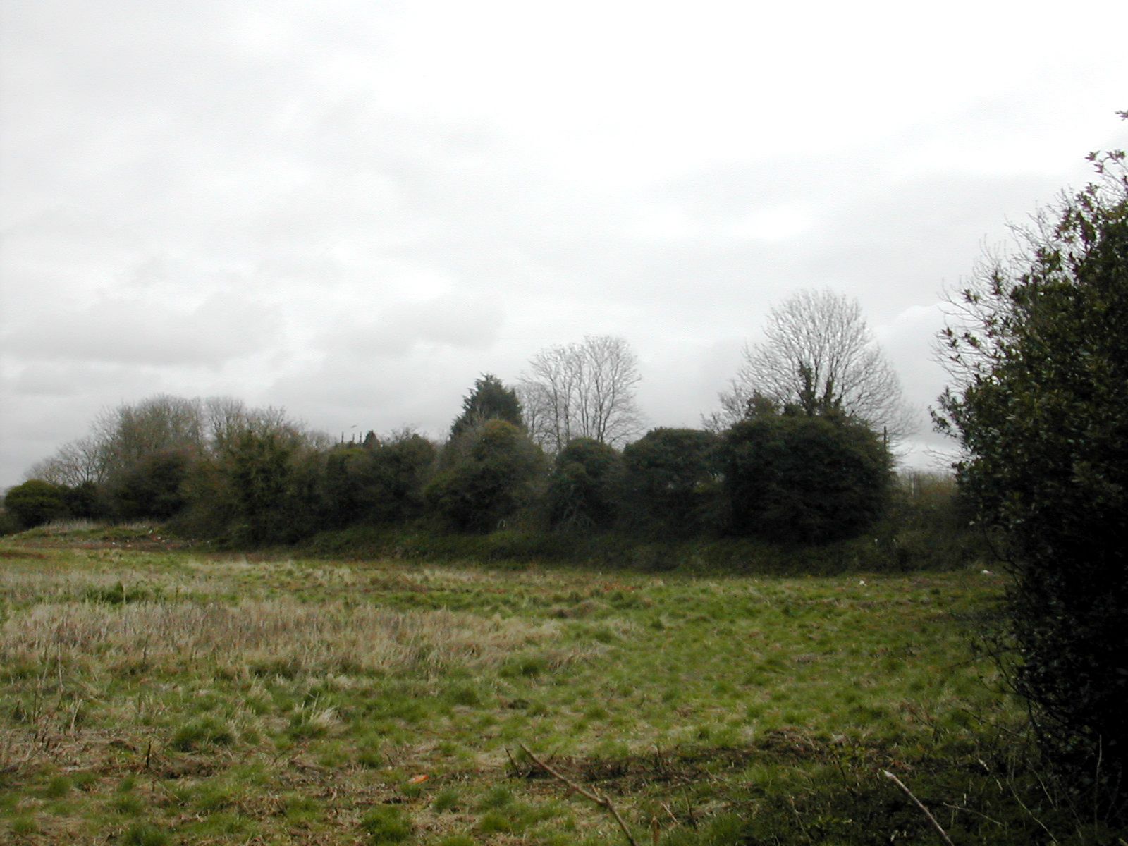 Plymouth Fortification