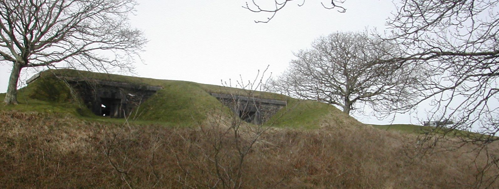 Plymouth Fortification