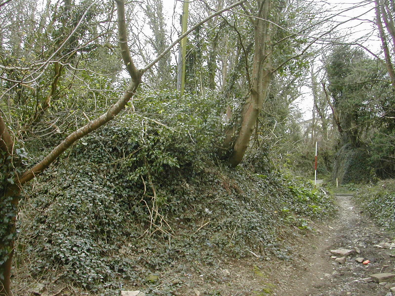 Plymouth Fortification