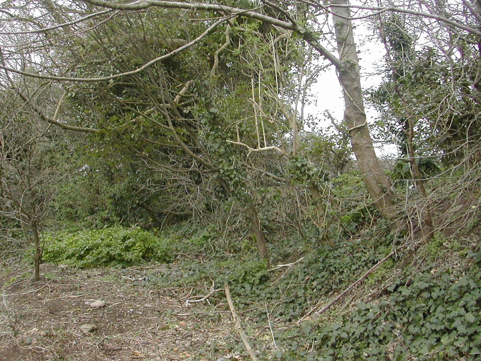 Plymouth Fortifications