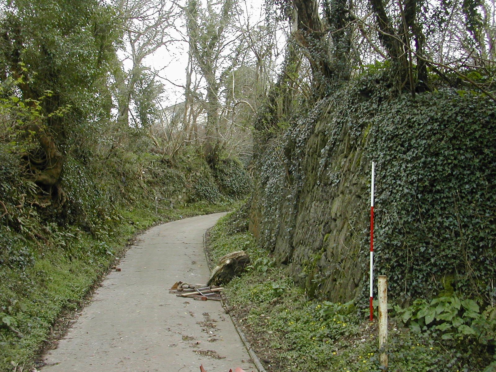 Plymouth Fortification