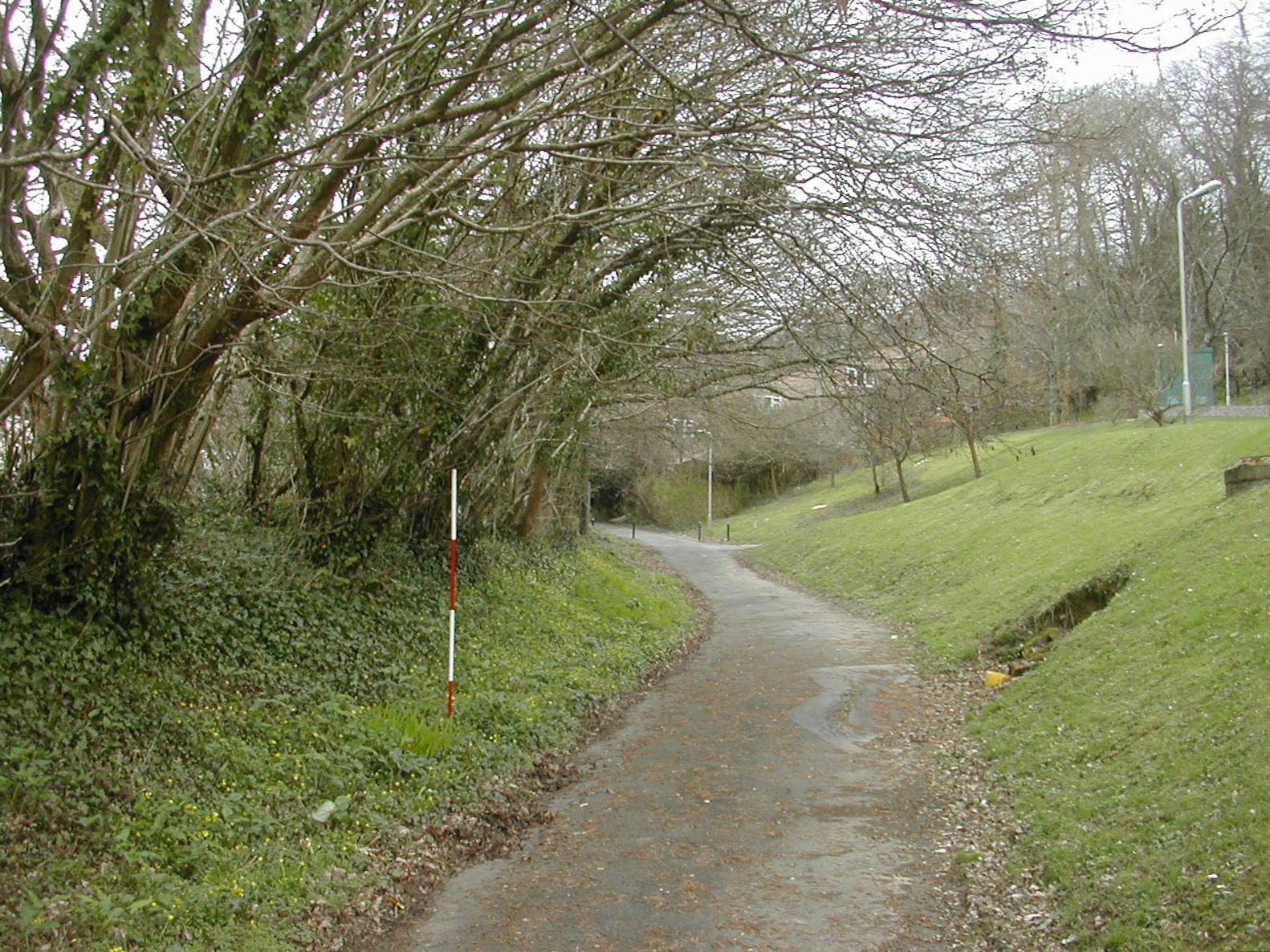 Plymouth Fortifications