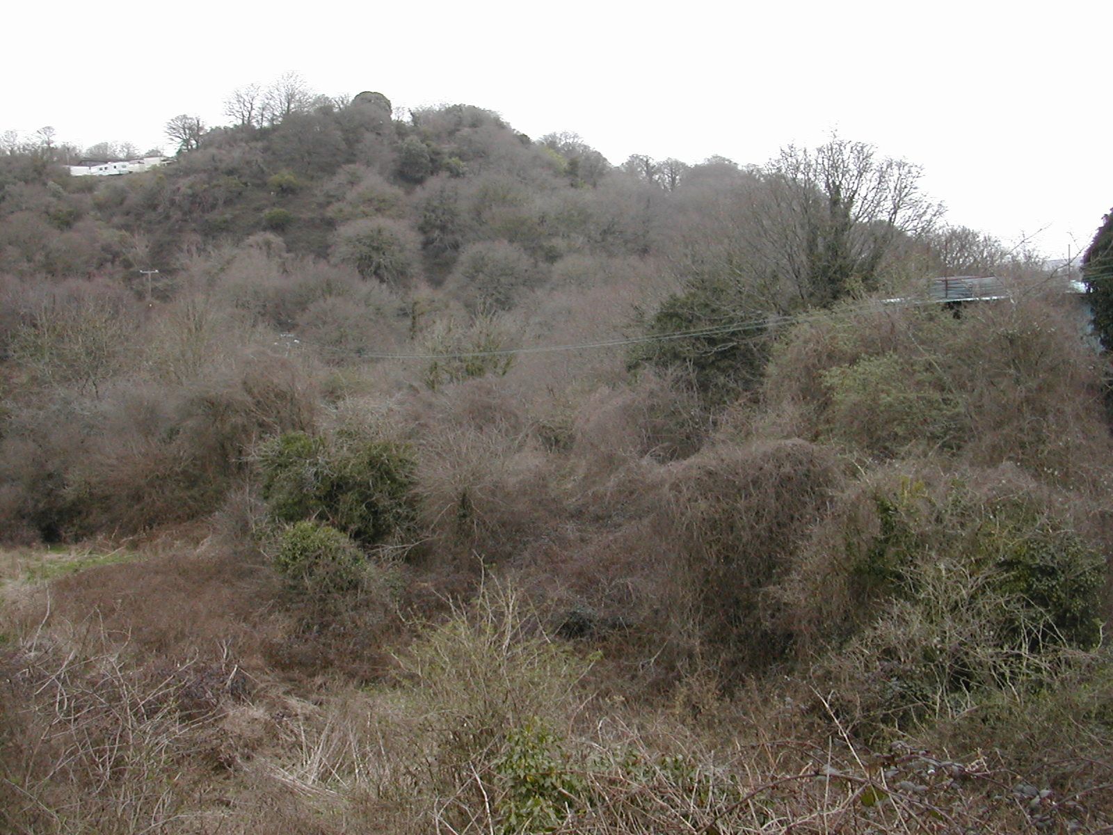 Plymouth Fortifications