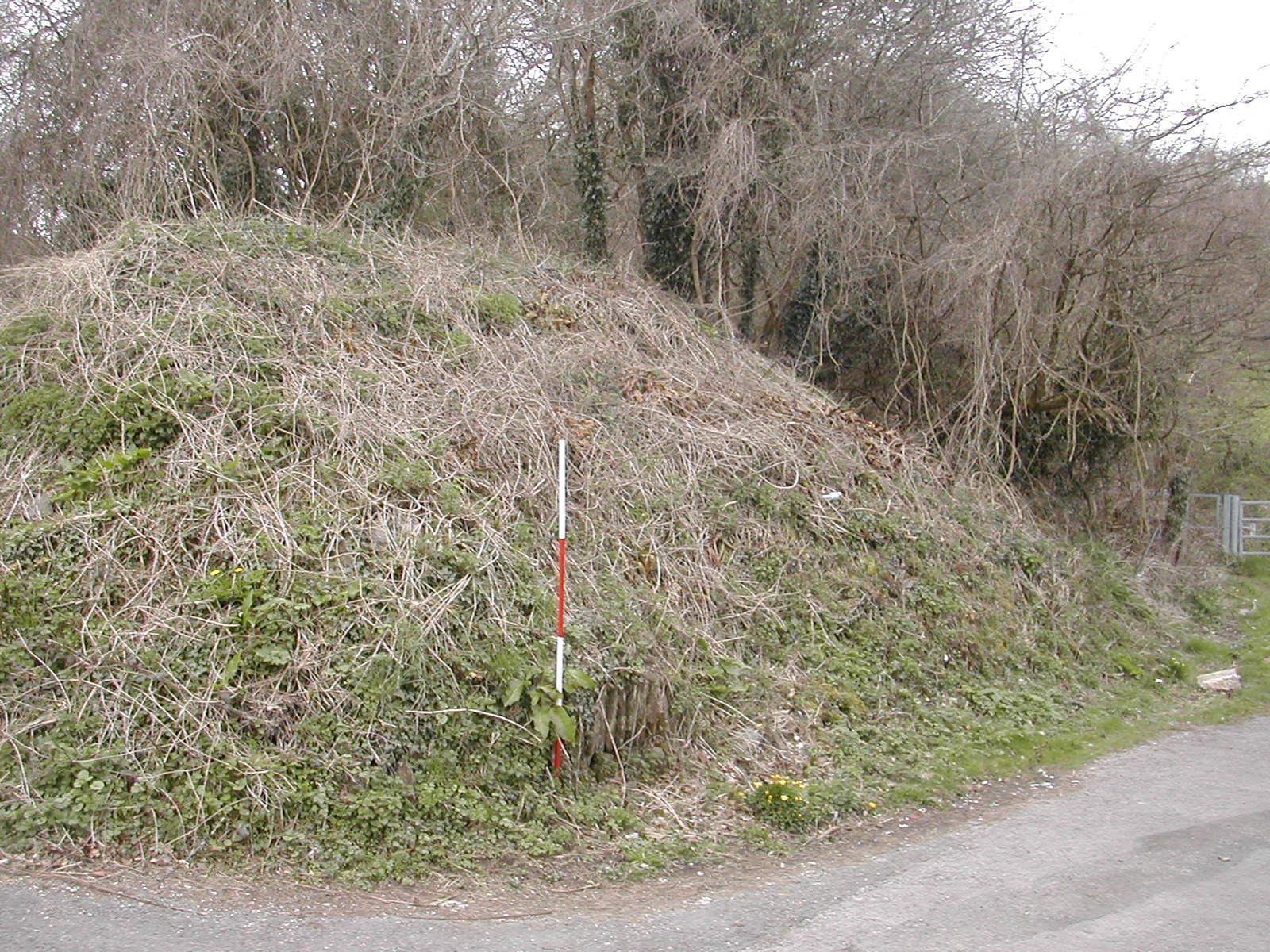 Plymouth Fortifications