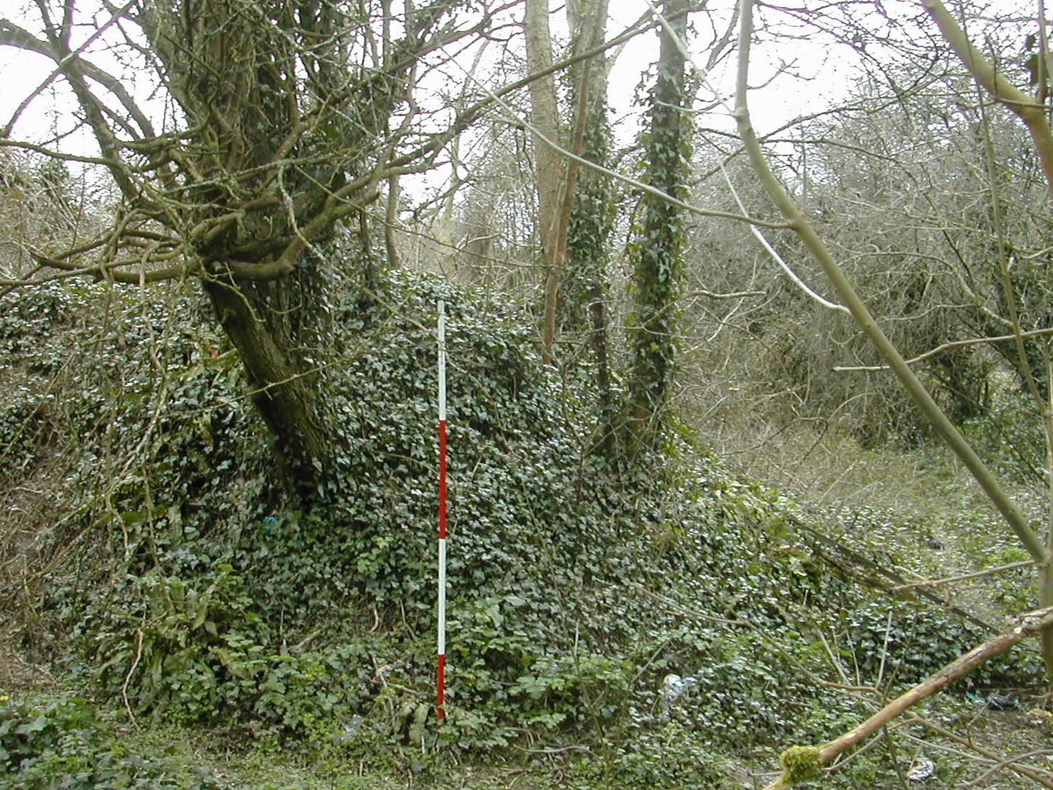 Plymouth Fortifications