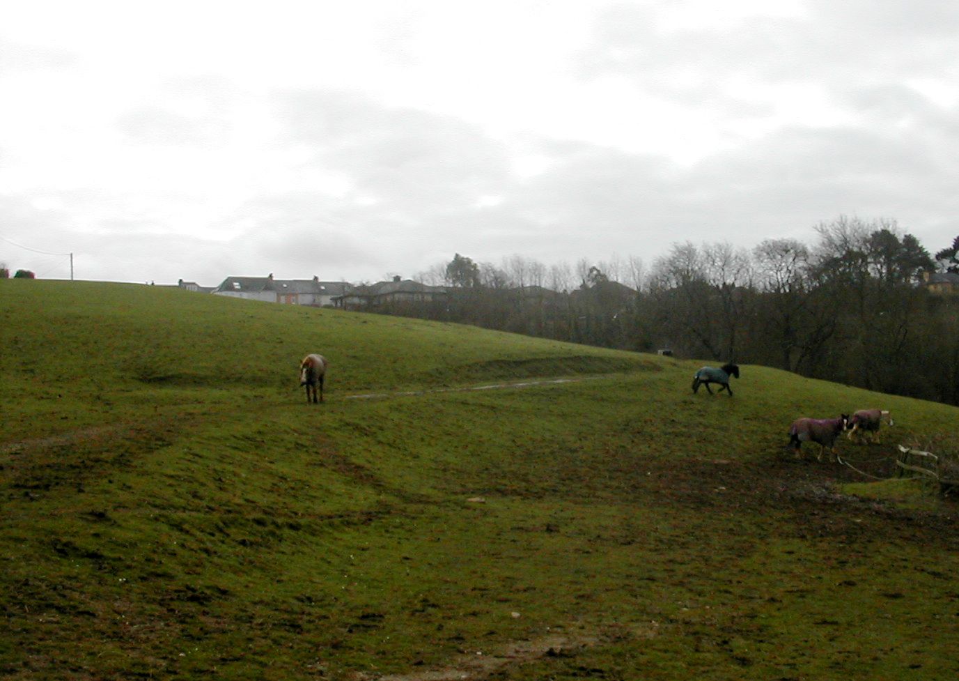 Plymouth Fortification