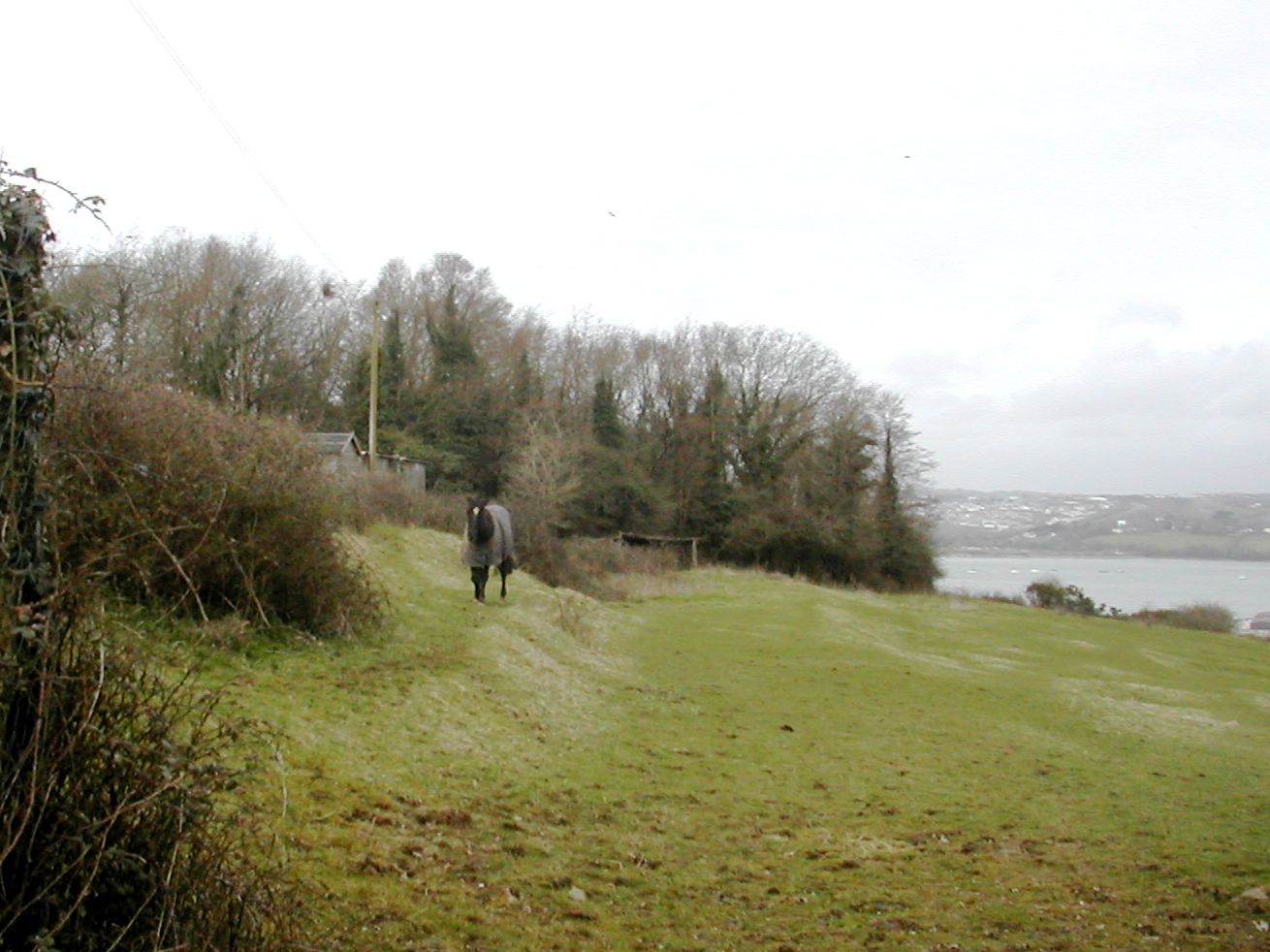 Plymouth Fortifications