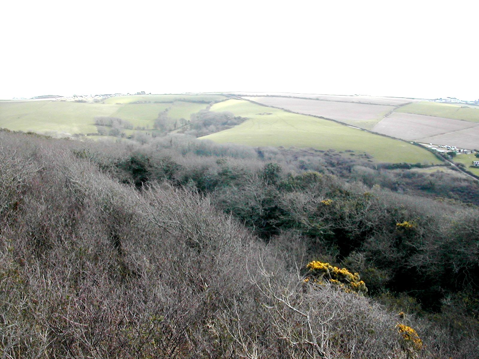 Plymouth Fortification