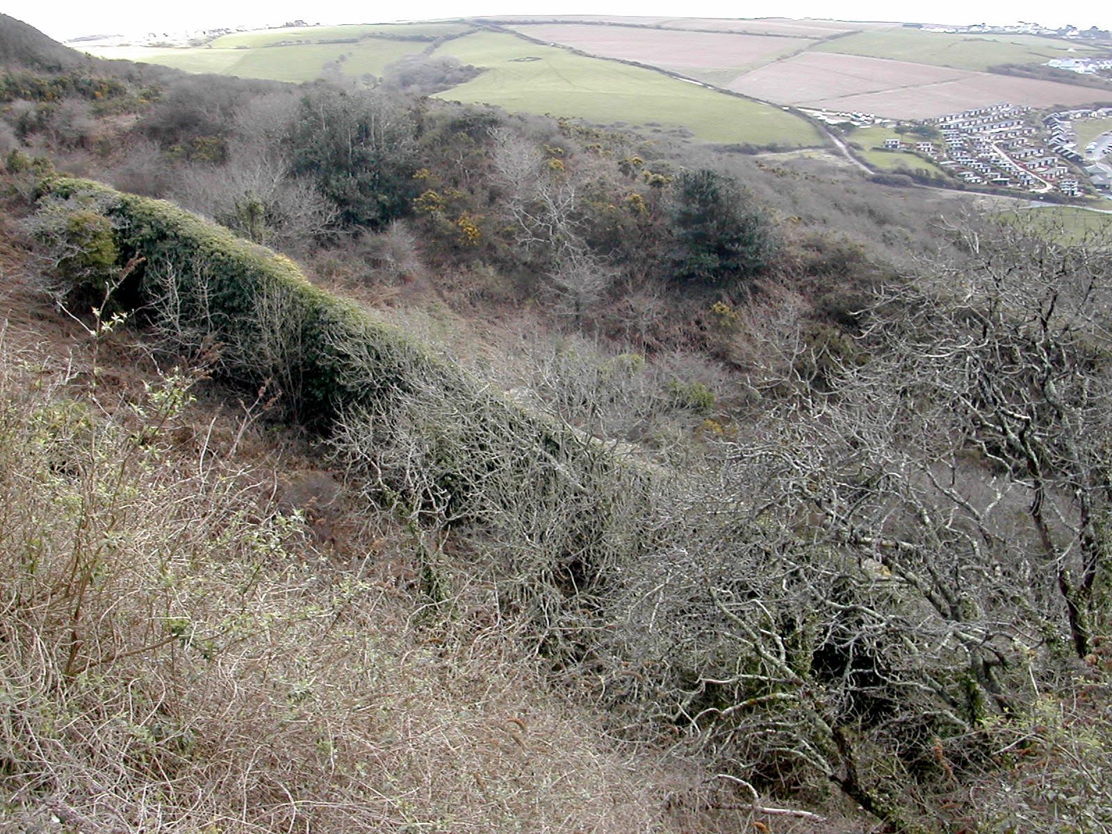 Plymouth Fortification