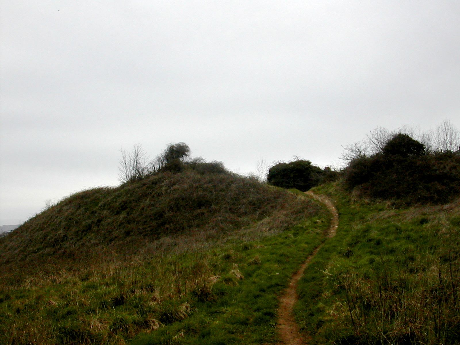 Plymouth Fortifications