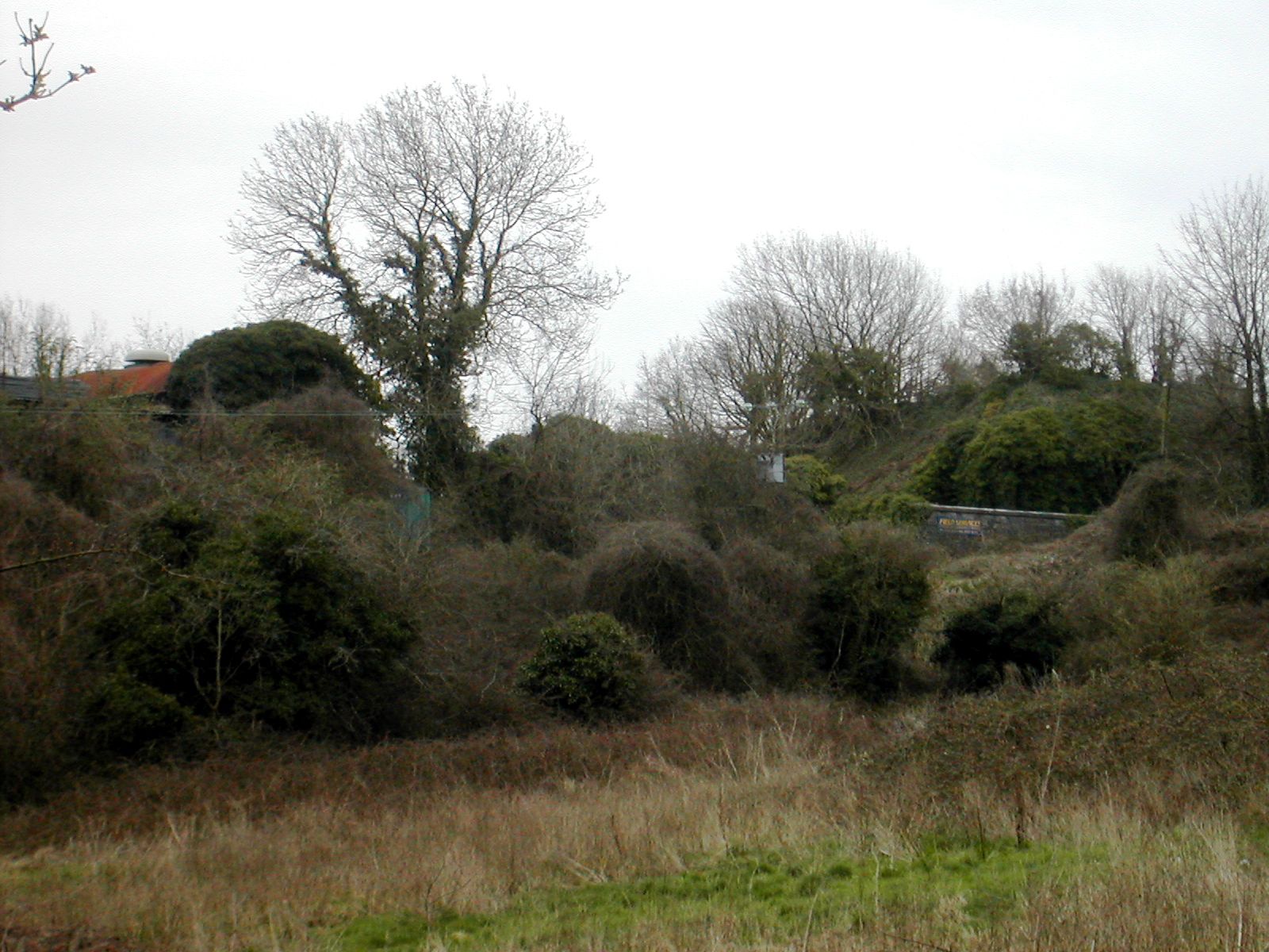 Plymouth Fortifications