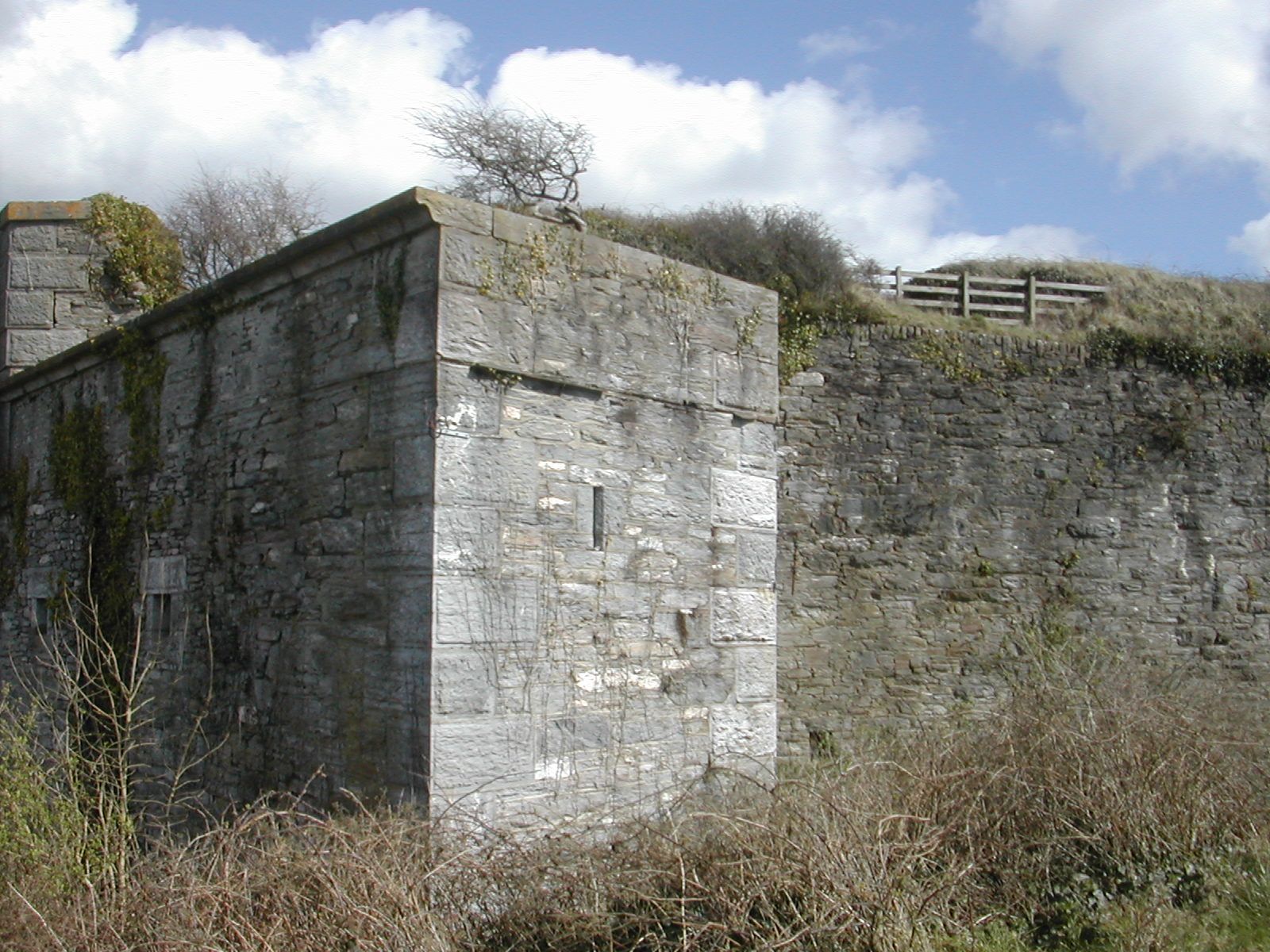 Plymouth Fortification