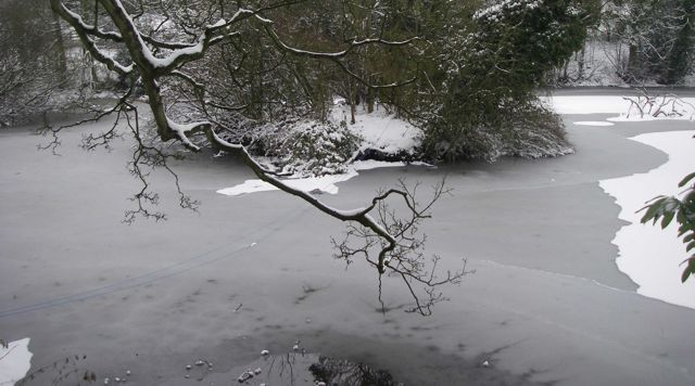 Frozen Lake